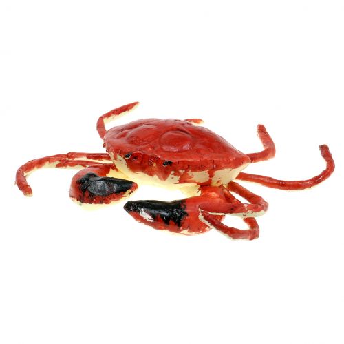 Floristik24 Deco Crab Red 15cm