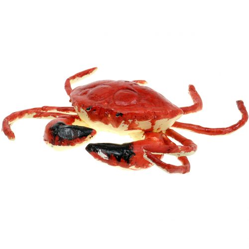 Floristik24 Deco Crab Red 25cm