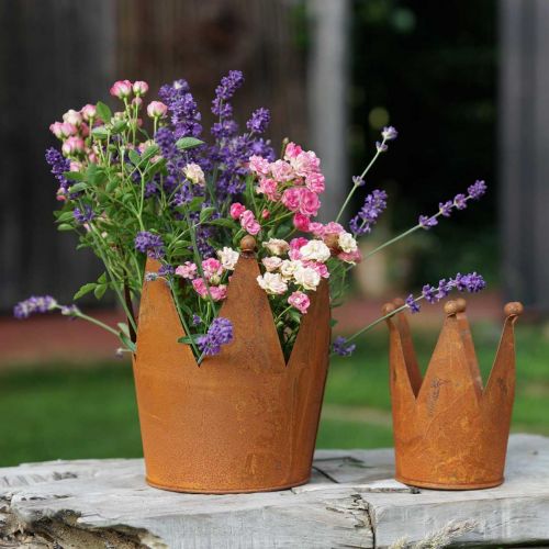 Floristik24 Korona wykonana z metalowej dekoracji rdzy do sadzenia patyny Ø10,5cm W13,5cm