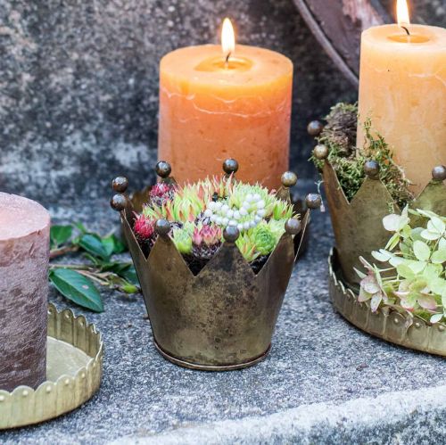 Floristik24 Metalowy, mosiężny świecznik na tealighty w kolorze antycznym Ø10cm W8cm