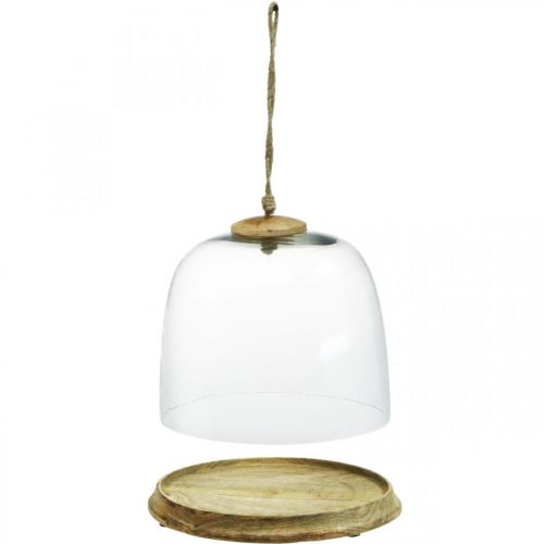 Floristik24 Szklany dzwonek z drewnianą płytą, dzwonek tortowy z jutowym uchwytem W19cm Ø22,5cm