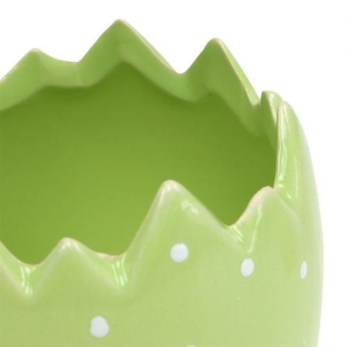 Floristik24 Doniczka skorupka Ø8cm H8,5cm 8szt.