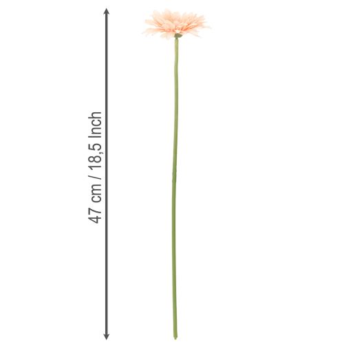 Sztuczne kwiaty gerbery morelowe 47cm 6szt | Floristik24.pl