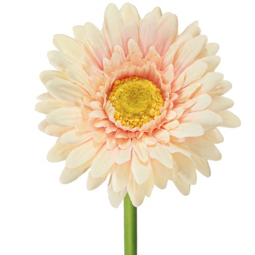 Kwiaty sztuczne Gerbera Morela 47cm