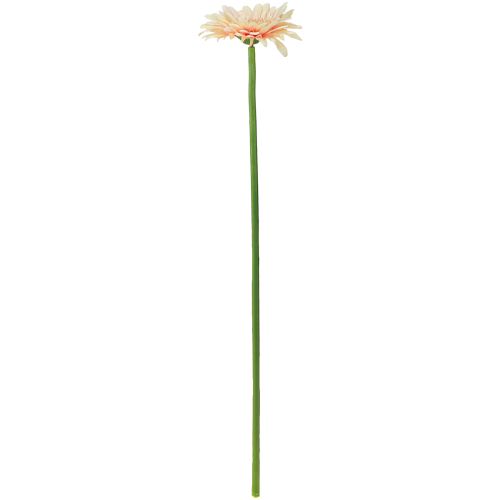 Produkt Kwiaty sztuczne Gerbera Morela 47cm