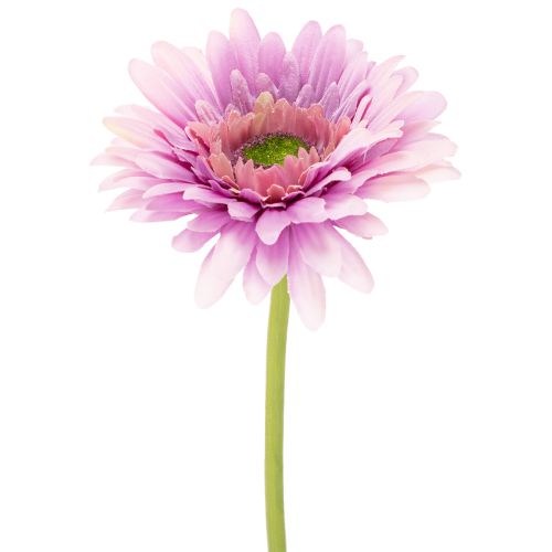 Sztuczne kwiaty ogrodowe Gerbera, fioletowe, 47 cm, 6 sztuk kupić | Floristik24.pl
