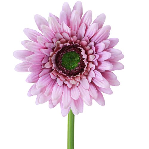 Sztuczne Kwiaty Gerbera Ogrodowa Sztuczne Kwiaty Fioletowe 47cm