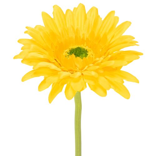 Sztuczne kwiaty gerbery, słoneczna żółć, kwiat ogrodowy, 47 cm, 6 sztuk kupić | Floristik24.pl
