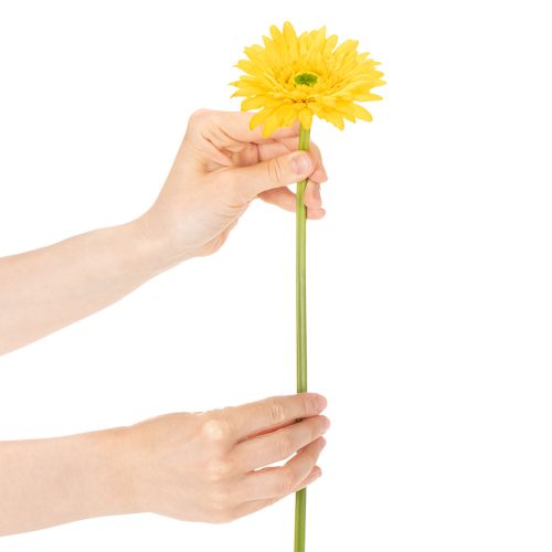 Sztuczne kwiaty gerbery, słoneczna żółć, kwiat ogrodowy, 47 cm, 6 sztuk | Floristik24.pl