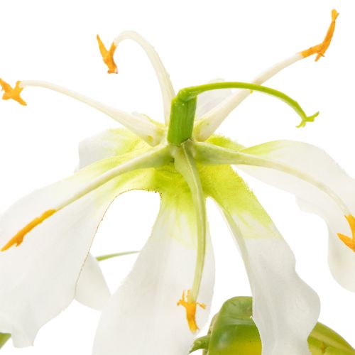 Sztuczny kwiat Gloriosa, biały i żółty, elegancka gałązka kwitnąca do dekoracji, 80 cm, 3 sztuki | Floristik24.pl