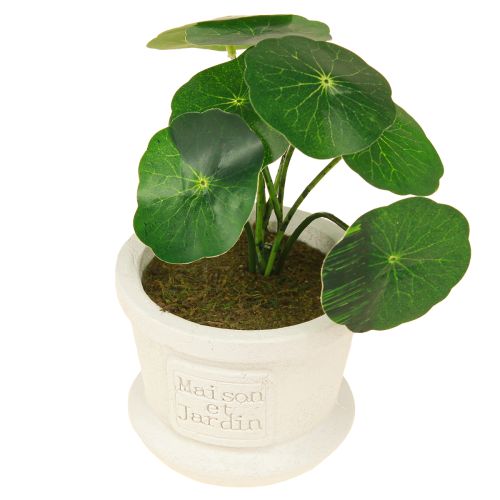 Produkt Sztuczne rośliny zielone mini rośliny w doniczce 15cm 3szt