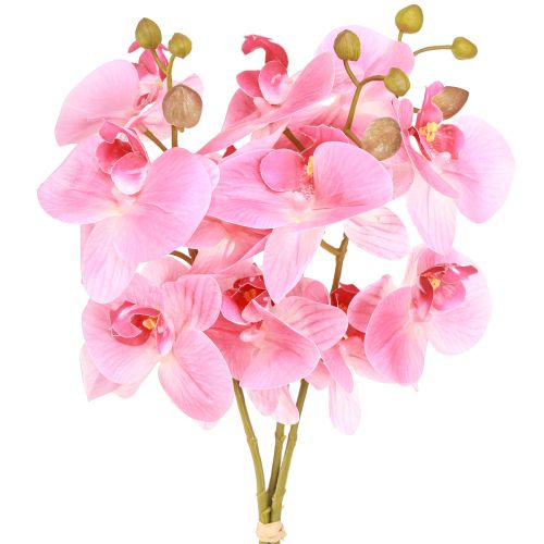 Floristik24 Sztuczne Orchidee Różowe Sztuczne Kwiaty Jak Prawdziwe 56cm 3 Szt