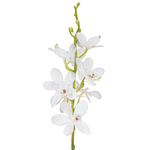 Floristik24 Sztuczne Orchidee Biały Kwiat Ø3.5–5cm Dł.38cm 2szt