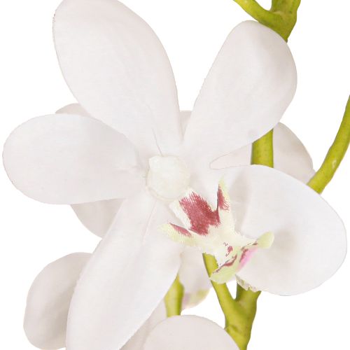 Produkt Sztuczne Orchidee Biały Kwiat Ø3.5–5cm Dł.38cm 2szt