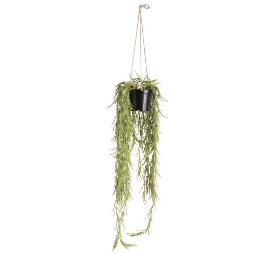 Produkt Sztuczna sukulent wisząca w czarnej doniczce 60 cm - Trwała dekoracja wnętrza