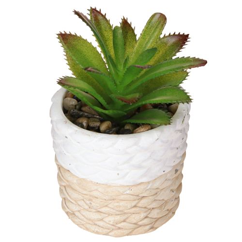 Produkt Sztuczne sukulenty w doniczce ceramicznej 12,5 cm 3 szt.