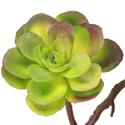 Produkt Sztuczne sukulenty z łodygą zielono-fioletowe różne 32cm 2szt