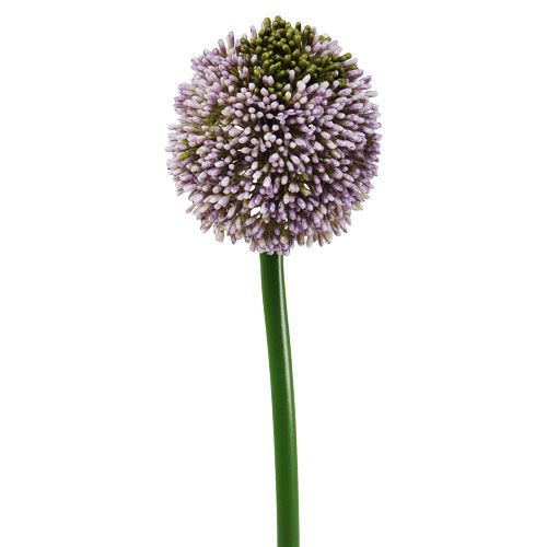Floristik24 Sztuczne kwiaty Allium fioletowe Ø10cm L65cm