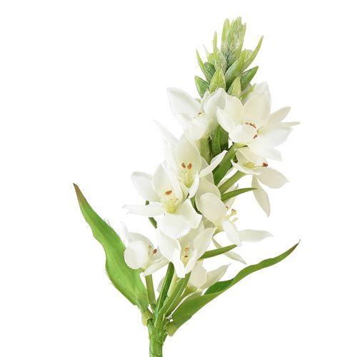 Sztuczny kwiat mleczna gwiazda biała 50cm