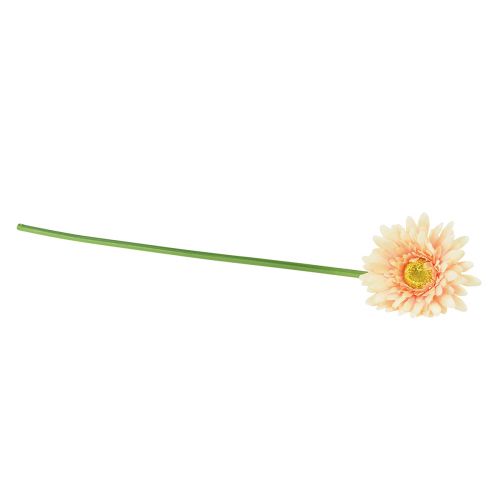 Produkt Kwiaty sztuczne Gerbera Morela 47cm