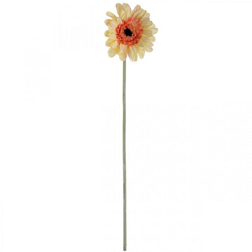 Produkt Sztuczny kwiat gerbery sztuczny kwiat moreli Ø11cm dł.50cm