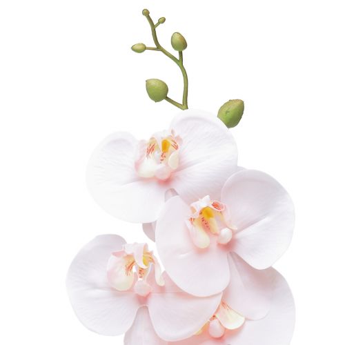 Produkt Sztuczna orchidea różowa Phalaenopsis Real Touch 83cm