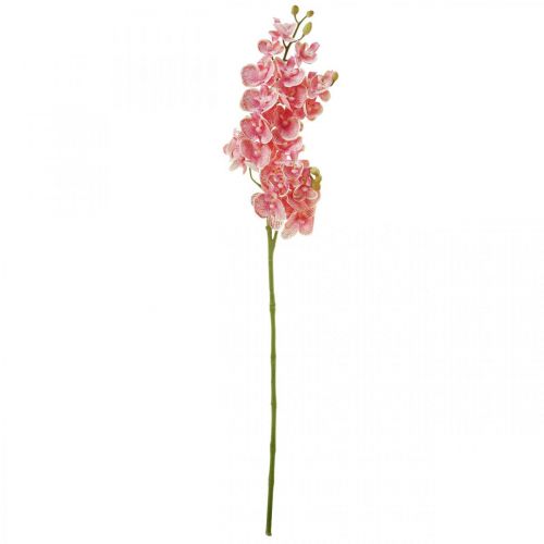 Floristik24 Sztuczne storczyki deco Sztuczny kwiat orchidei różowy 71cm
