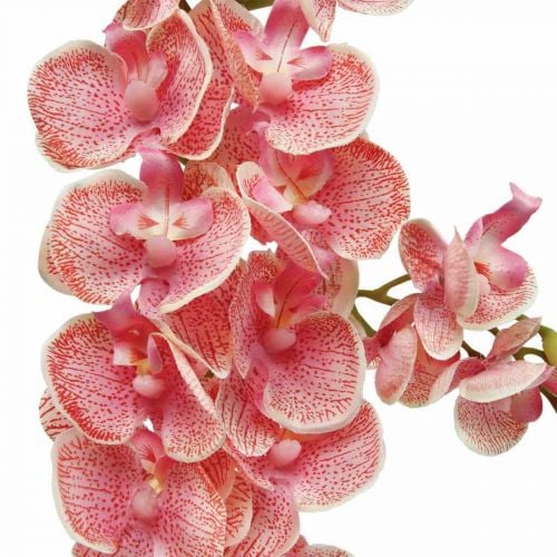 Sztuczne storczyki deco Sztuczny kwiat orchidei różowy 71cm