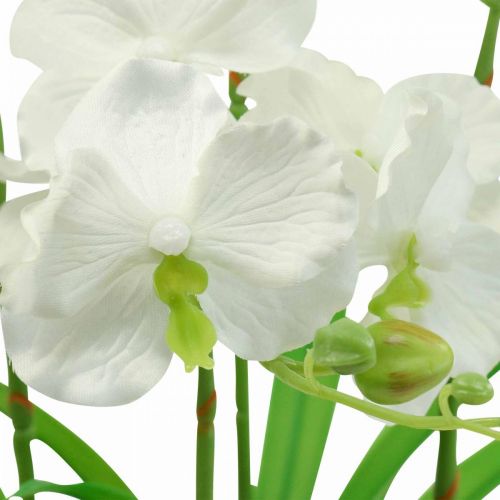 Produkt Sztuczne storczyki sztuczne kwiaty w białej doniczce 60cm