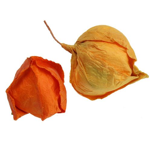 Produkt Różne rodzaje sztucznych physalis. 32szt.