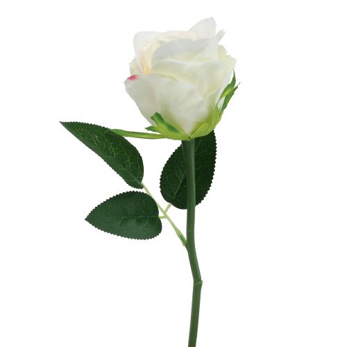 Sztuczne róże w pęczku białe 30cm 8 szt | Floristik24.pl
