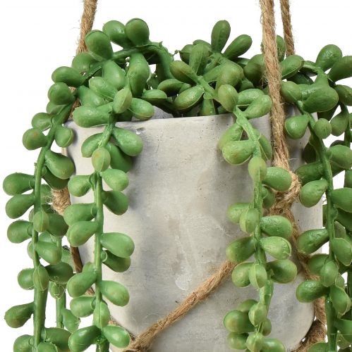 Floristik24 Sztuczne sukulenty wiszące rozchodnik wąż w doniczce ceramicznej 40cm