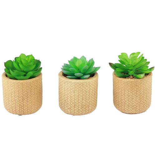 Produkt Sztuczne Sukulenty w Doniczkach Sztuczne Rośliny Różne 10cm 3szt
