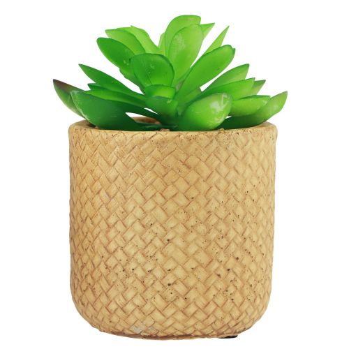 Produkt Sztuczne Sukulenty w Doniczkach Sztuczne Rośliny Różne 10cm 3szt