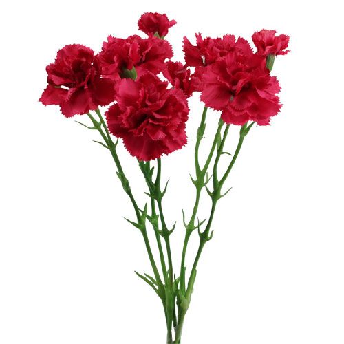 Floristik24 Goździk sztuczny różowy 32cm 5szt.