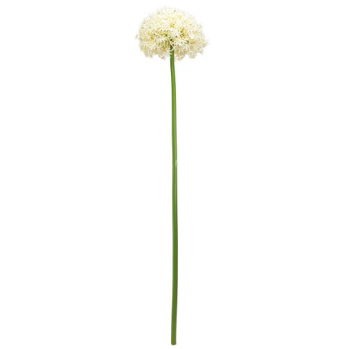 Produkt Sztuczna cebula ozdobna kremowa biała cebula ozdobna Ø18cm dł. 90cm