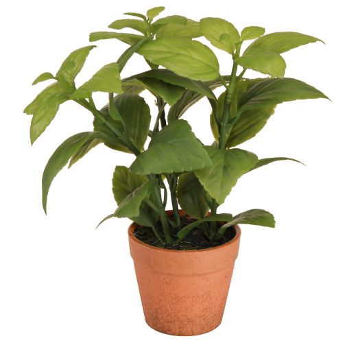 Sztuczna Bazylia w Doniczce Doniczka na Zioła Sztuczna Roślina 22cm 2szt