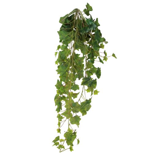 Produkt Ozdoba ze sztucznych liści bluszczu do zawieszenia w kolorze zielonym L85cm