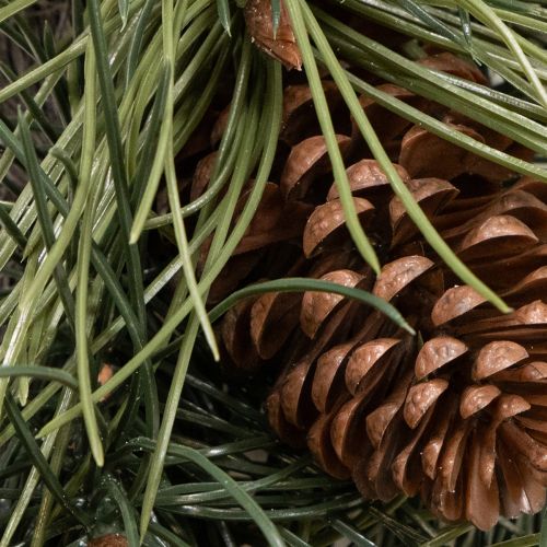 Sztuczny wianek z gałązek sosnowych i szyszek 60 cm | Floristik24.pl