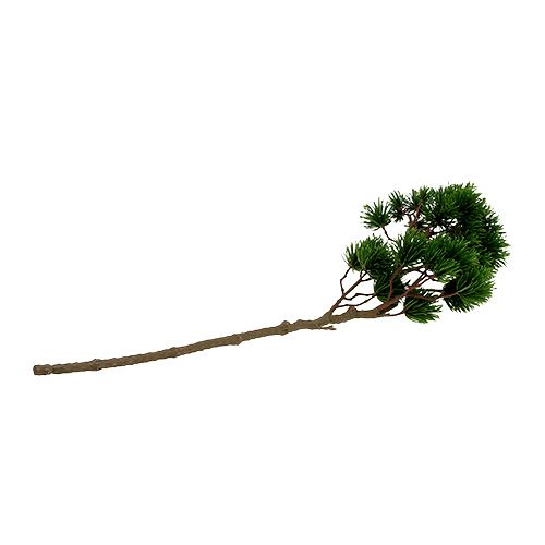 Floristik24 Sztuczna gałązka jodły, gałązka sosny 62cm