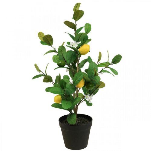 Produkt Sztuczne drzewko cytrynowe w doniczce Drzewo cytrynowe W65cm