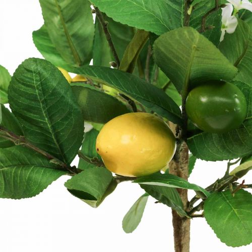 Produkt Sztuczne drzewko cytrynowe w doniczce Drzewo cytrynowe W57cm