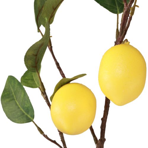 Produkt Sztuczna gałązka cytryny Gałązka dekoracyjna z 3 żółtymi cytrynami 65cm