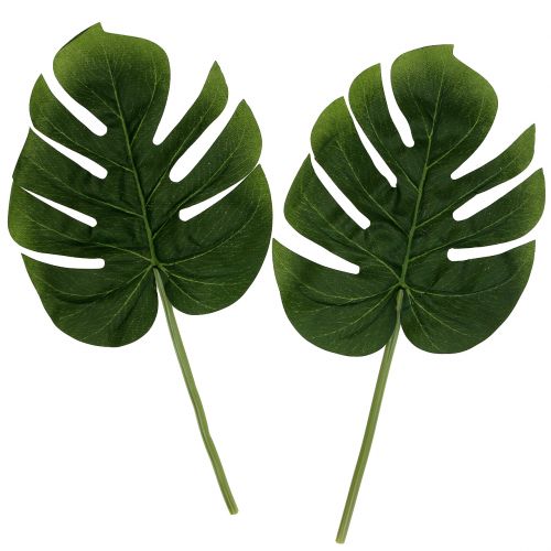 Floristik24 Sztuczny filodendron liść 18cm zielony 6szt