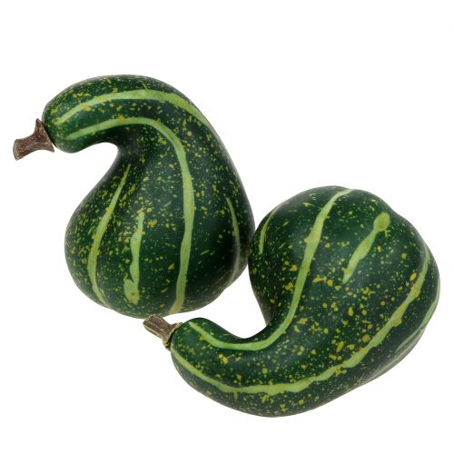 Floristik24 Sztuczna dynia dekoracyjna ciemnozielona 11cm 6 szt