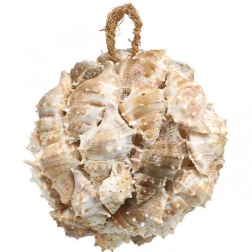 Kula dekoracyjna muszle ślimaków muszle dekoracyjne wiszące natura Ø12cm