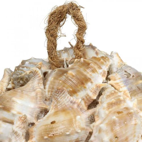 Produkt Dekoracyjna kula muszle ślimaka muszle dekoracja wisząca naturalna Ø12cm