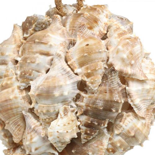 Produkt Dekoracyjna kula muszle ślimaka muszle dekoracja wisząca naturalna Ø12cm