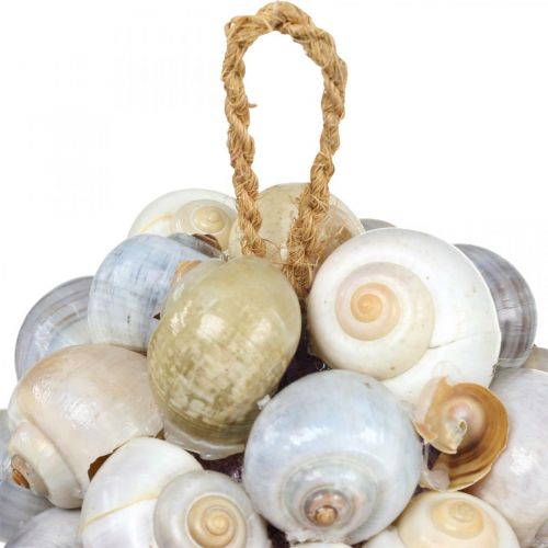 Produkt Morska kula dekoracyjna muszla ślimaka morskiego kula naturalna dekoracja Ø12cm