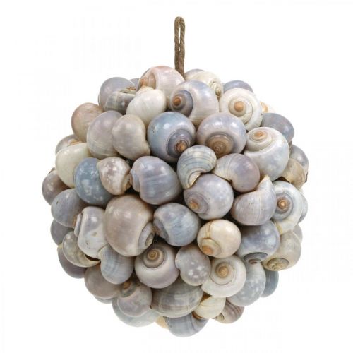 Produkt Kula dekoracyjna ślimaki morskie muszla kula naturalna dekoracja morska Ø19cm